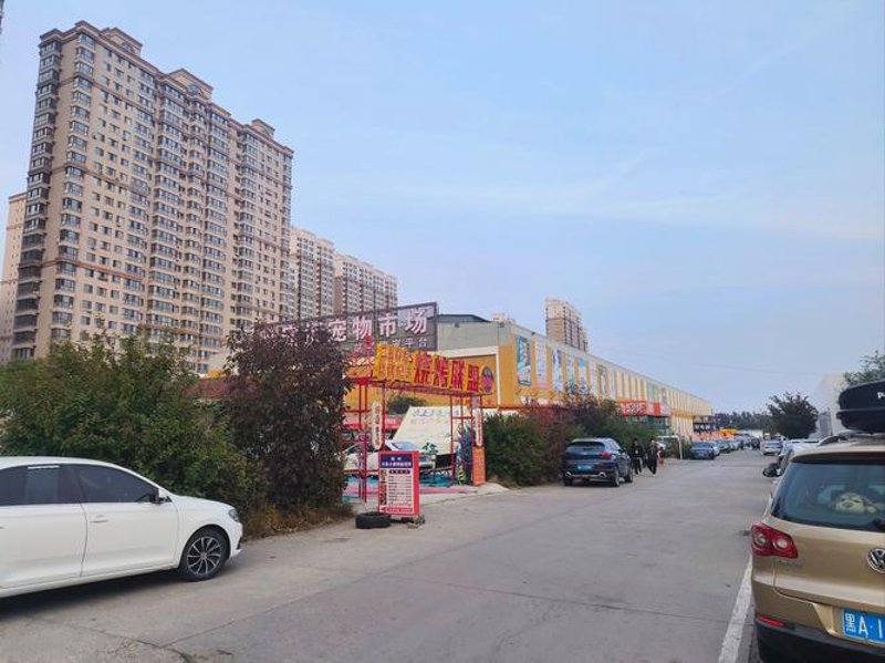 营口西市区商贸：繁华商圈里的商业活力